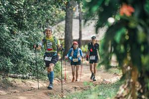 BIB: 
                            <button type="button" onclick="openModal(25276932)" class="btn btn-primary btn-sm float-right btn-popup" data-toggle="modal" data-target=".modal-high-quality">
                        <i class="fas fa-shopping-cart"></i> Add to Cart
                    </button>
                                            <button type="button" onclick="isThisMe(25276932, true)" class="btn btn-success btn-sm float-right btn-popup btn-isme hidden" data-toggle="tooltip" data-placement="bottom" title="นี่คือรูปของคุณใช่ไหม คลิกที่นี่เพื่อเอาเข้าอัลบั้ม">
                        <i class="fas fa-plus"></i> Add to album
                    </button>
                    <button type="button" onclick="isThisMe(25276932, false)" class="btn btn-warning btn-sm float-right btn-popup btn-isnotme hidden">
                        <i class="fas fa-ban"></i> Remove from album
                    </button>